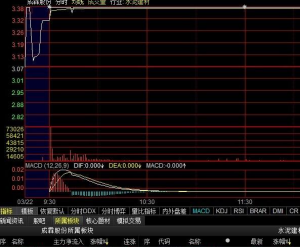 集合竞价该如何挑选出黑马股 股票 第1张