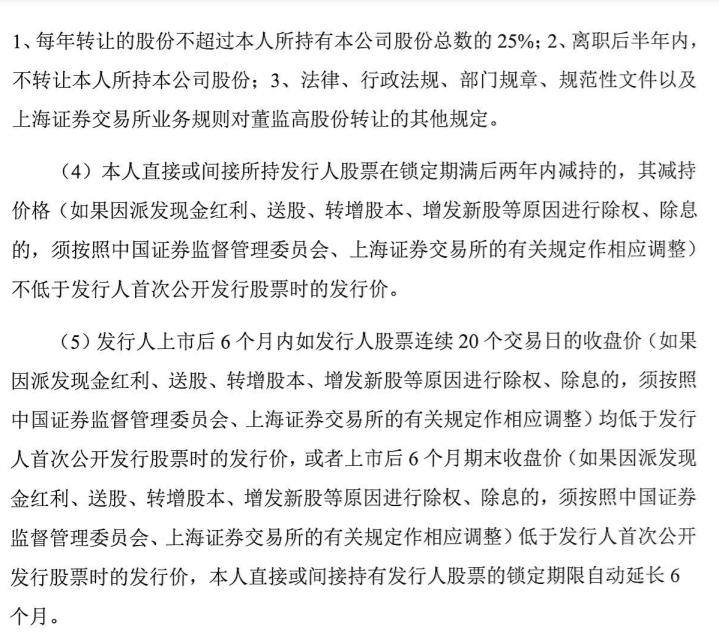 上海雅仕：东兴证券股份有限公司关于上海雅仕投资发展股份有限公司首次公开发行限售股解禁流通的核查意见 公司风险 第6张